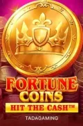 Fortune Coins slot más popular en SOLZA COM