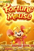 Fortune Mousse en SOLZA COM